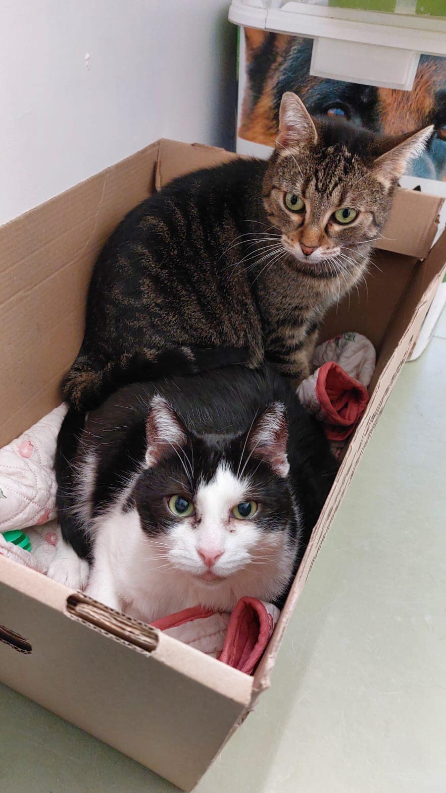 Bibi und Sally